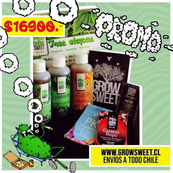 Promoción